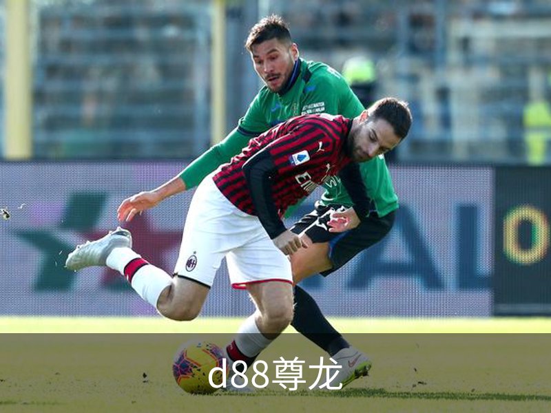 d88尊龙概况